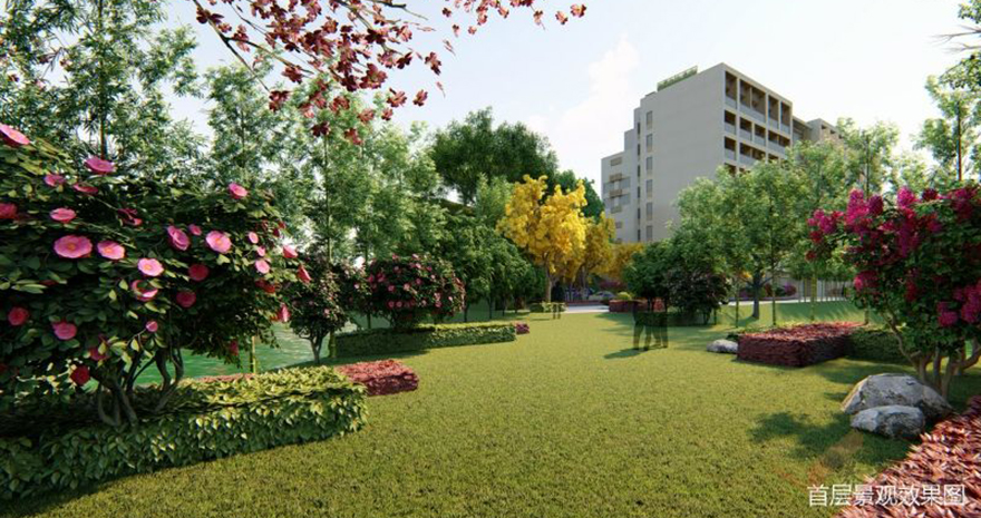 夕阳帮颐养中心