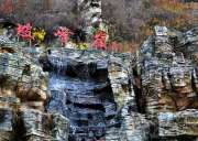 北京周边 京郊坡峰岭 赏红叶一日游