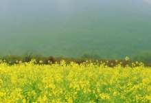 桂林阳朔美食之旅