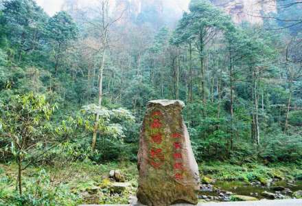 张家界——奇峰秀林，大自然的鬼斧神工