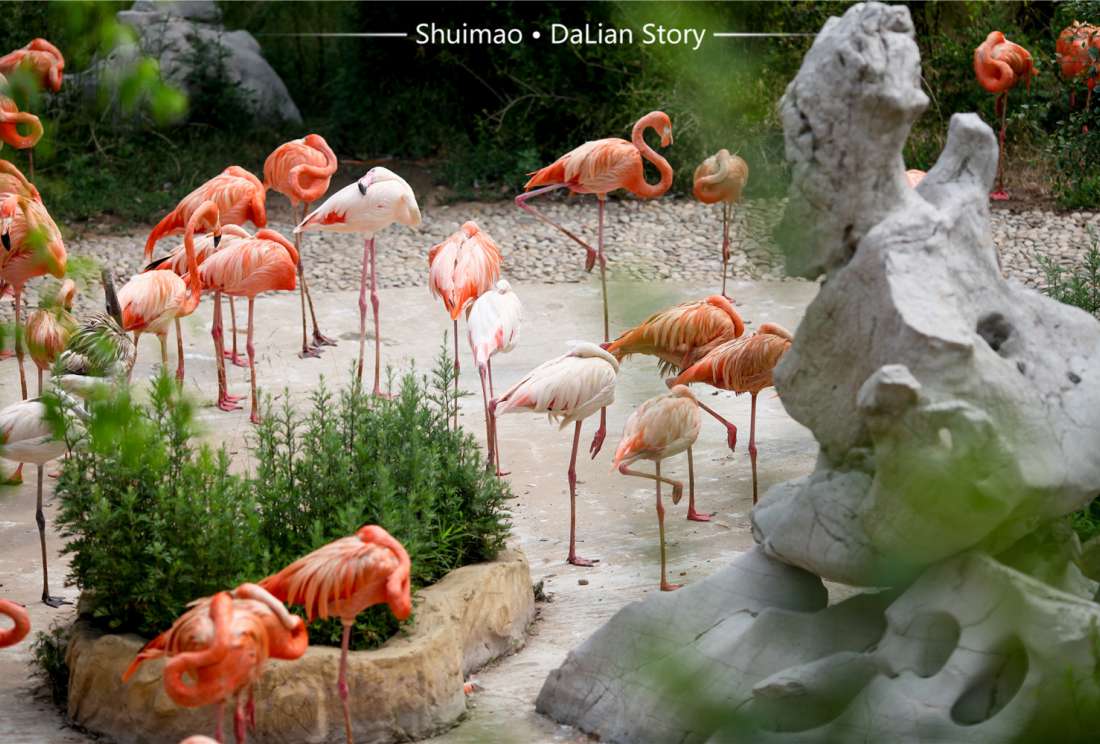 大连森林动物园