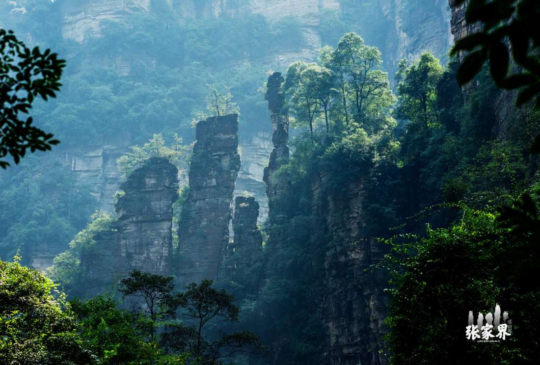 张家界国家森林公园