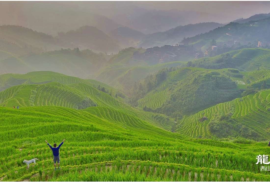 龙脊梯田