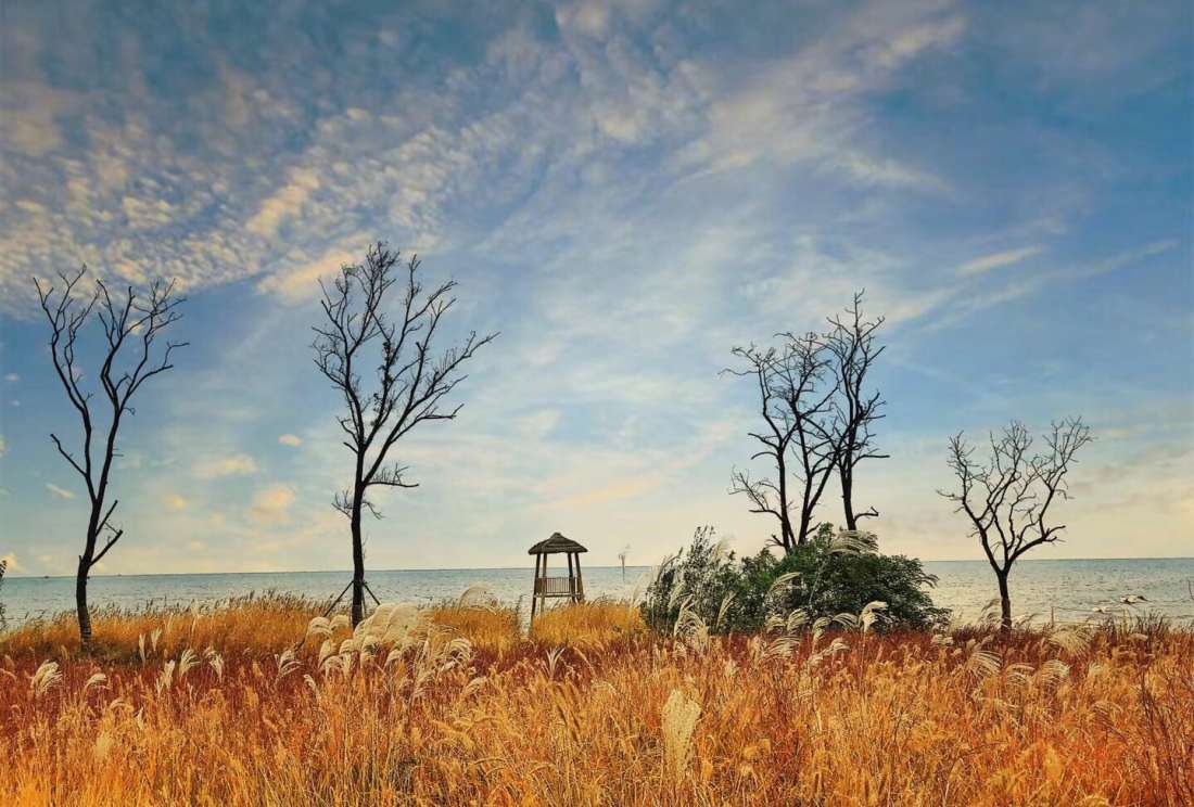 黄金海岸保护区