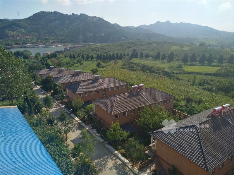 15489848651902356572