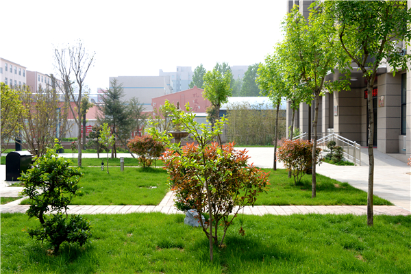 20161016150019801980