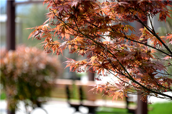 20161016144430993099