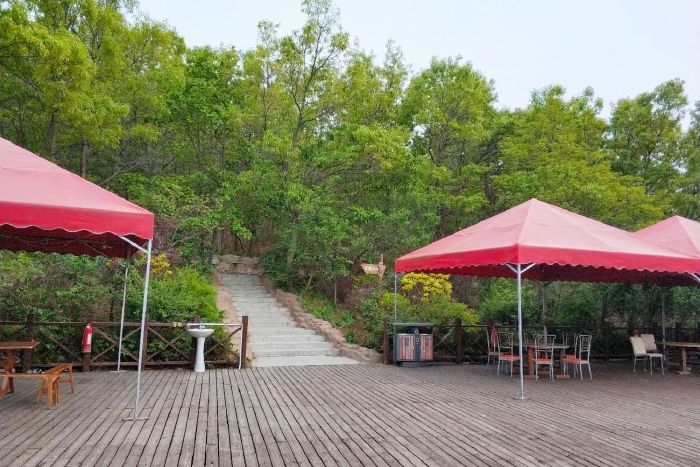 201905131113215173_700_467