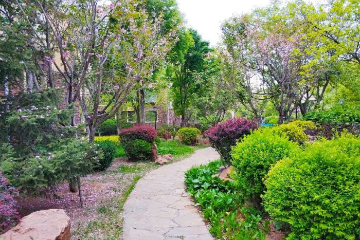 201905131113203358_700_467