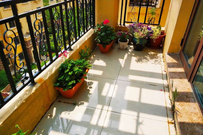 201905131110363208_700_467