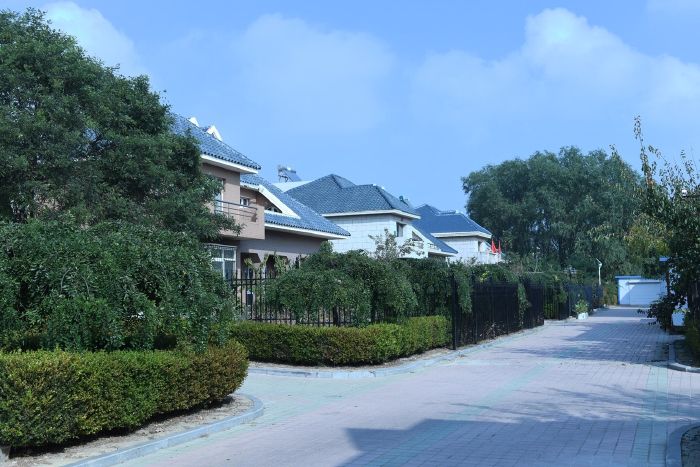 201910300049003159_700_467