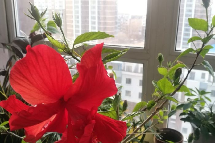 201911021307537476_700_467