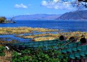 商务车大理精品纯玩跟团一日游