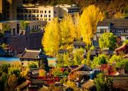 古北水镇当天往返直通车（轻松出行+一站直达+无购物+天天发车）