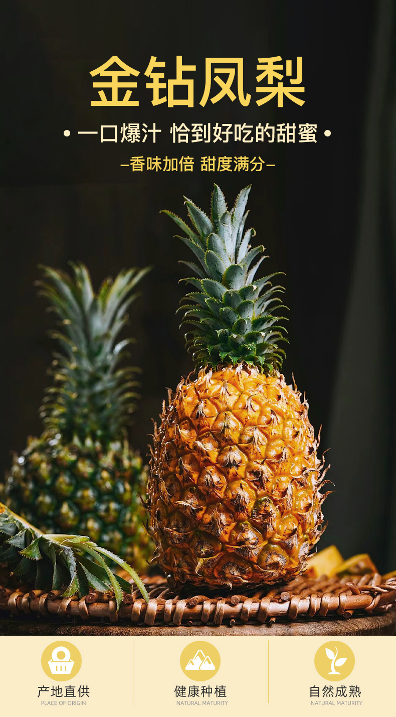 金钻凤梨1