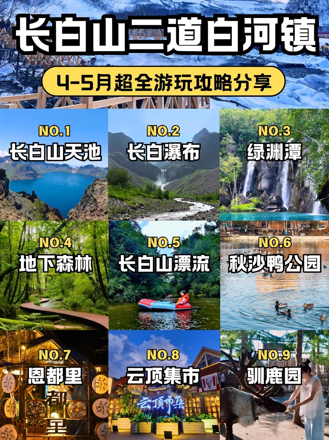 0519016 0519016
