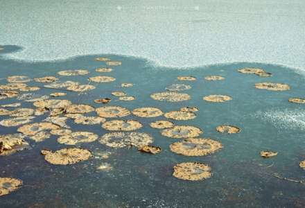 长春最全攻略，看了秒变本地人！