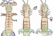 本地人带你玩转秦皇岛