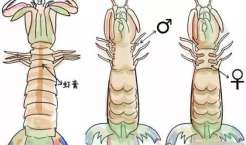 本地人带你玩转秦皇岛
