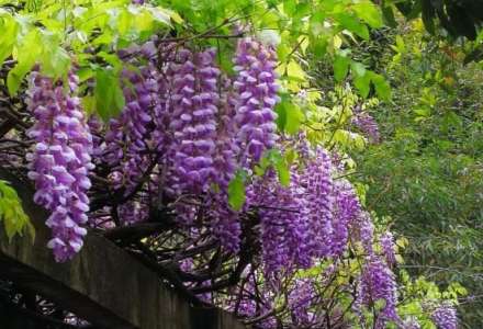 昆明轻松游（适合老人家的行程）